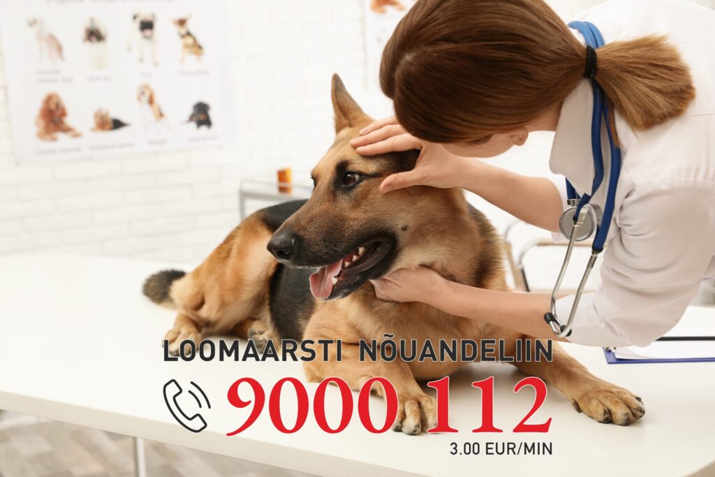 loomaarsti nouandeliin