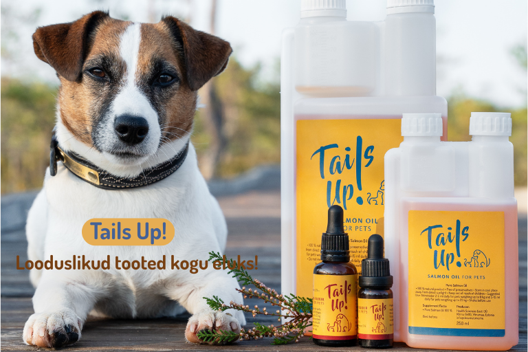 Tails Up!